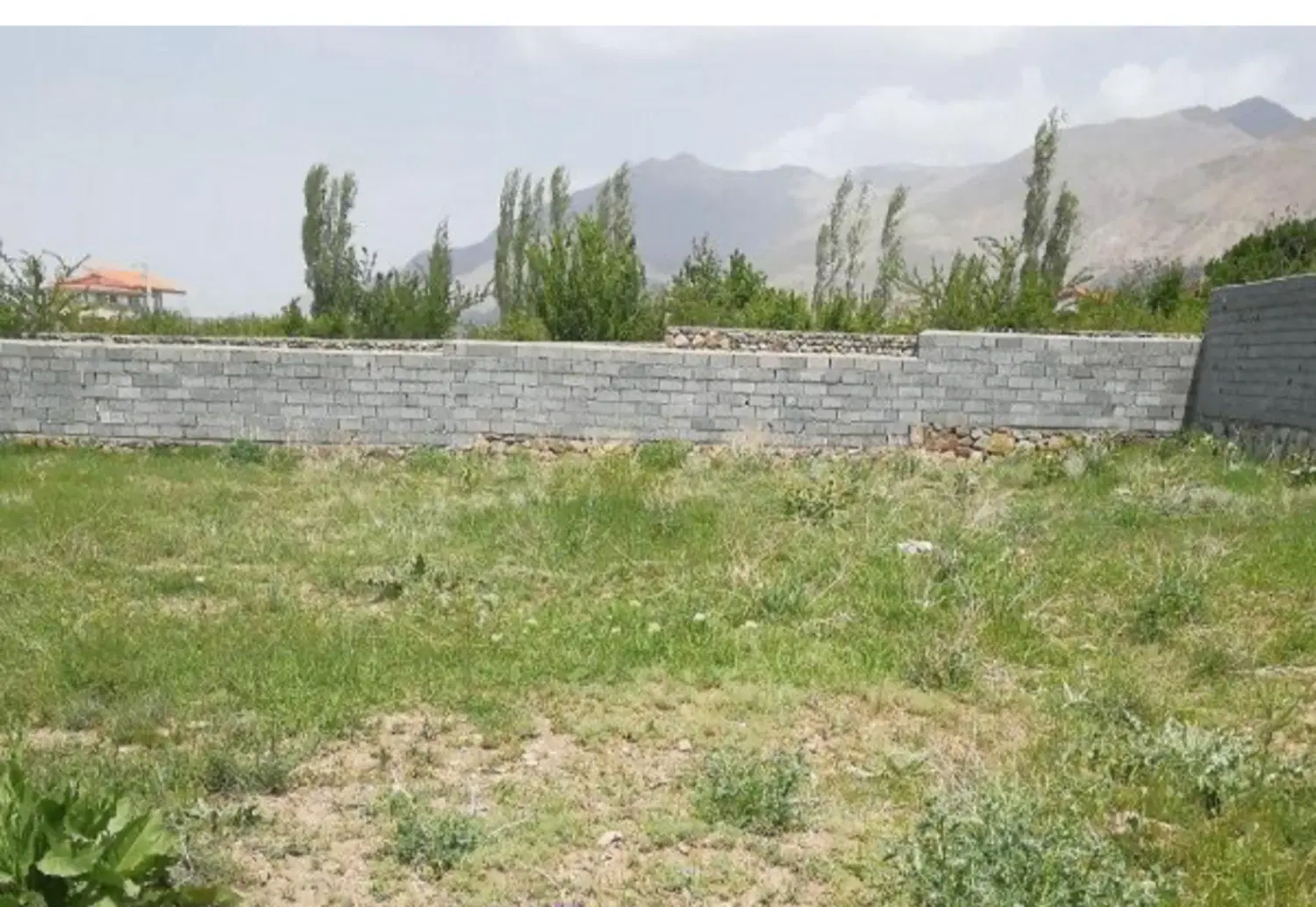 زمین