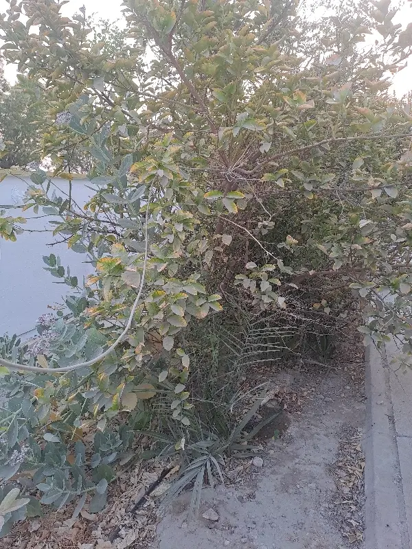 رهن سه خوابه مستقل شهرک پرواز