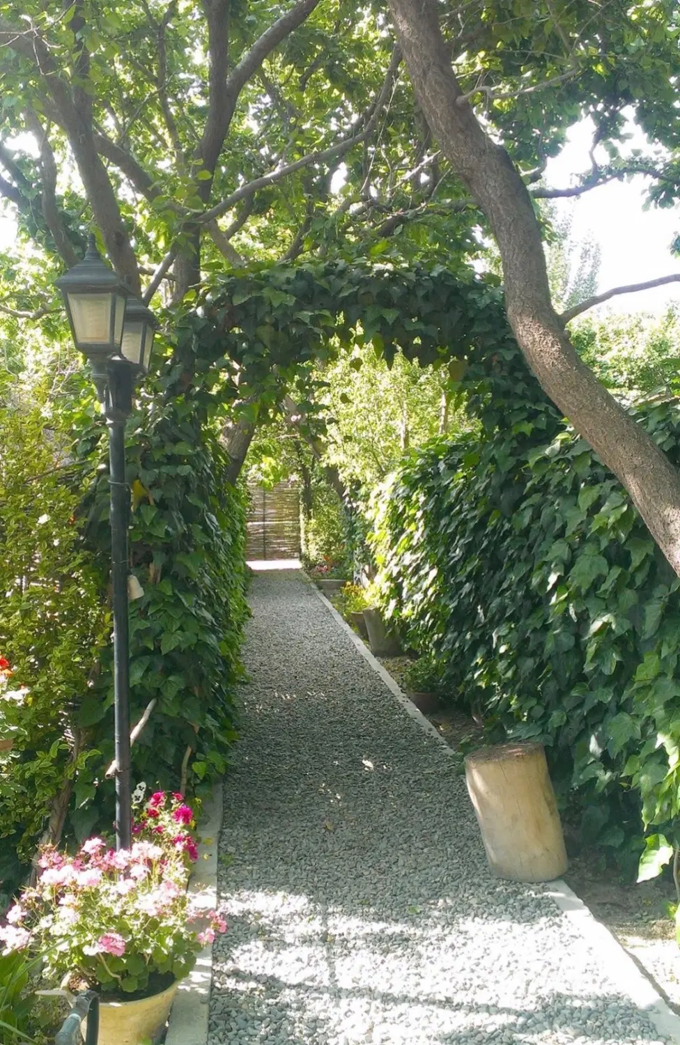 زمین خانمیران