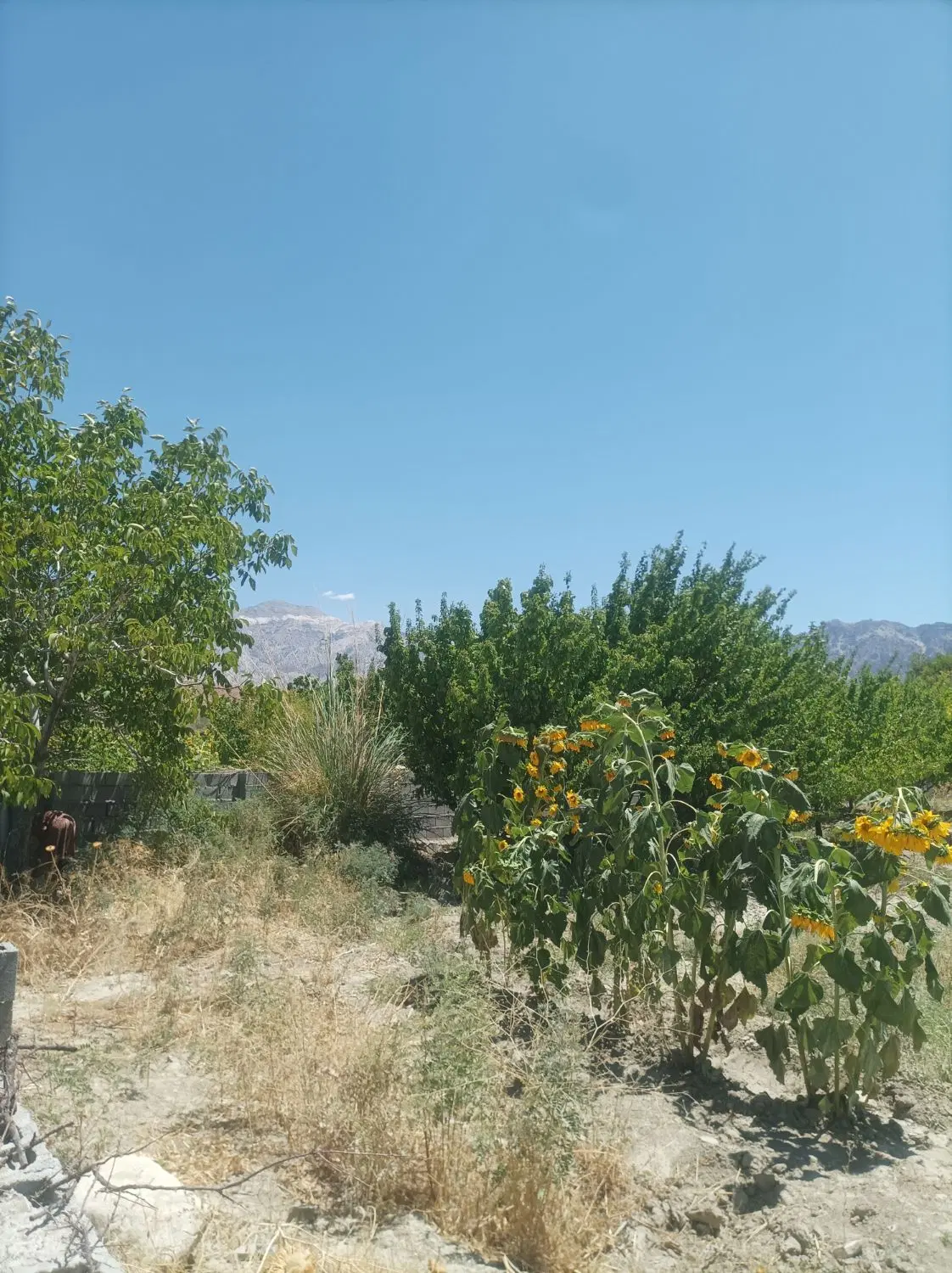 زمین فروشی
