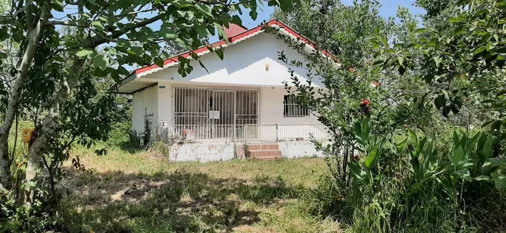 فروش زمین مسکونی  شفت  روستای شالده  هزار متر