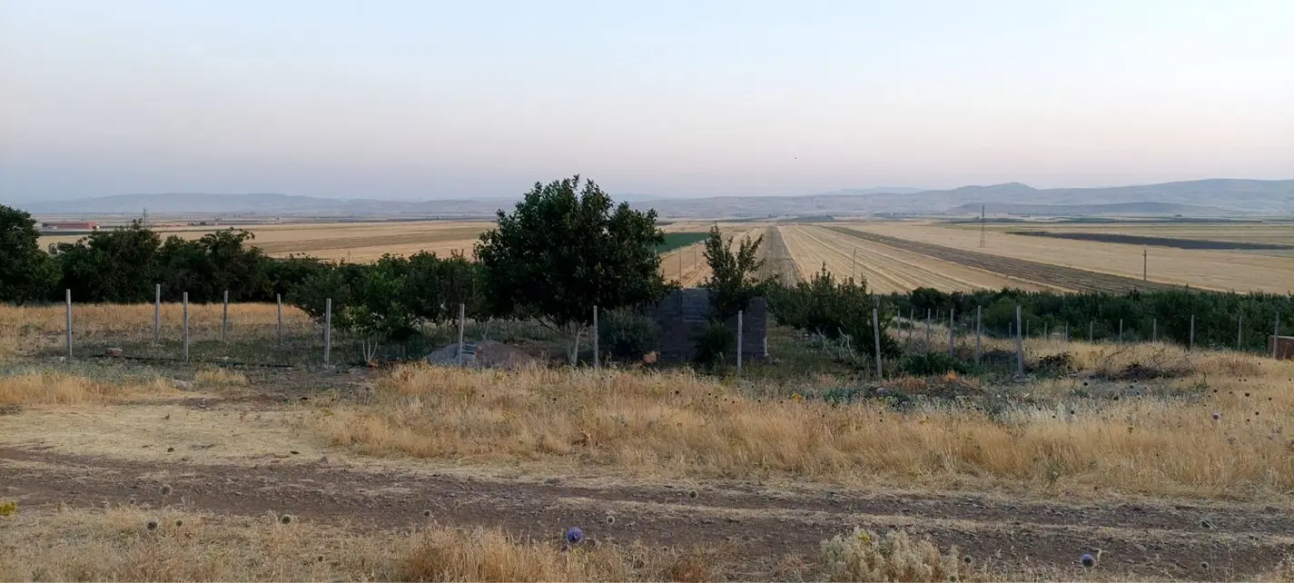 باغ سیب ۱۰ ساله سند تک برگ روستای ریکا