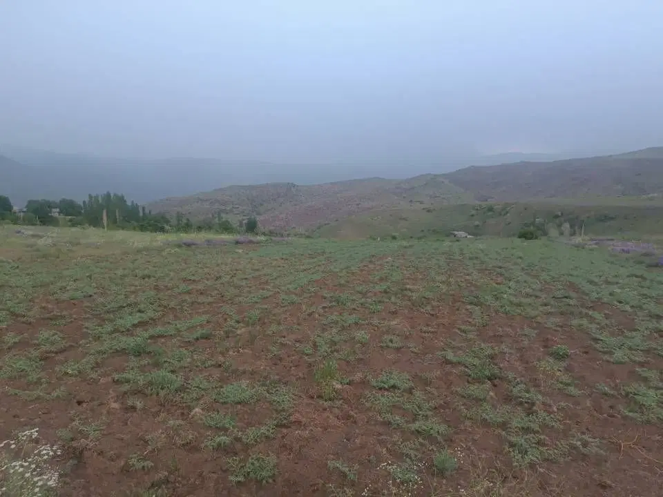 فروش زمین ویلایی