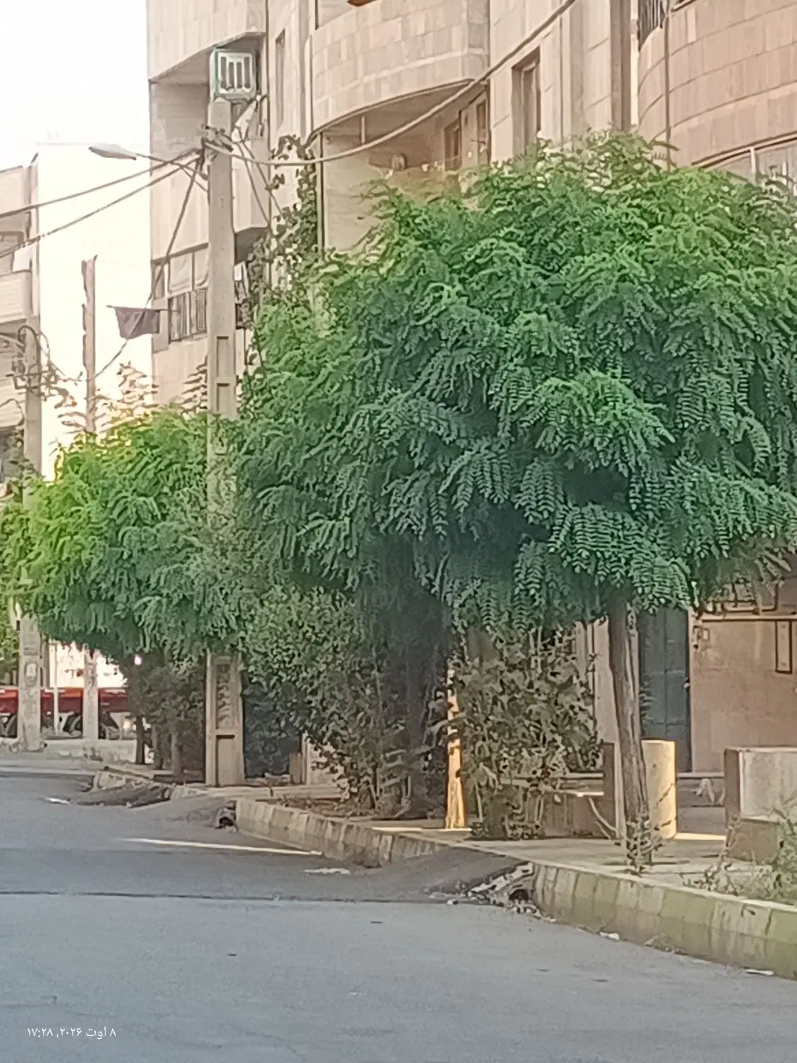 زمین سند دار ۲۰۹ متر