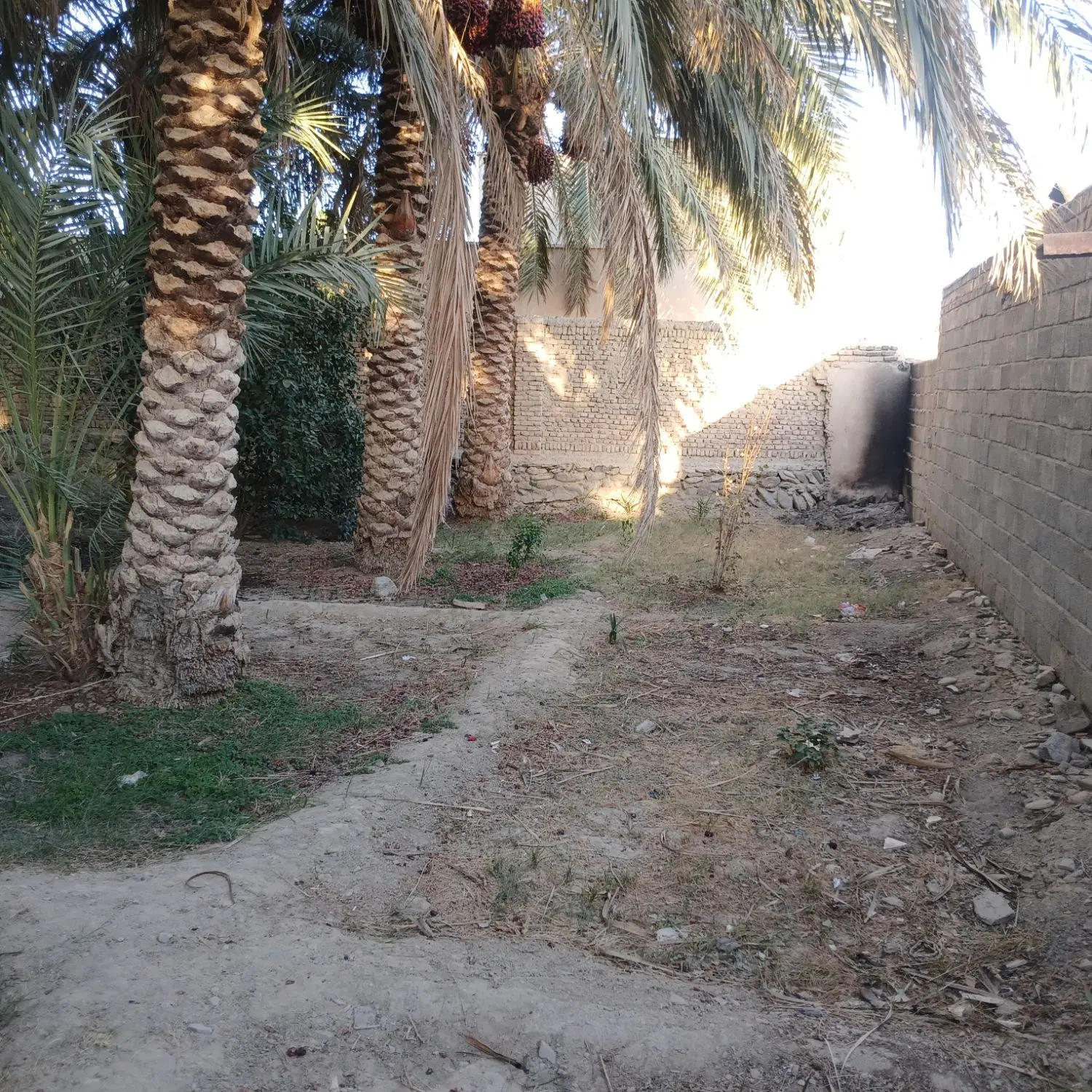 فروش خونه باغ اسپیچ