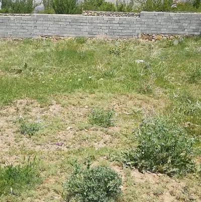 زمین واقع در عنبرآباد