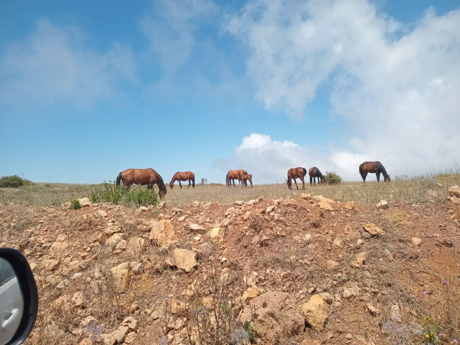 زمین ۲۰۰ متر مربعی شهنما