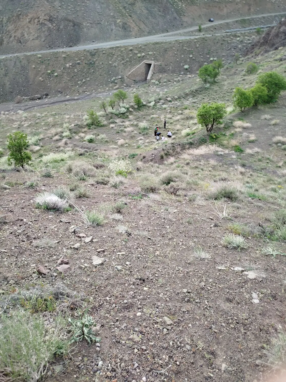 زمین ۱۲۵متری درباهنر۴خیرابادی۲۴
