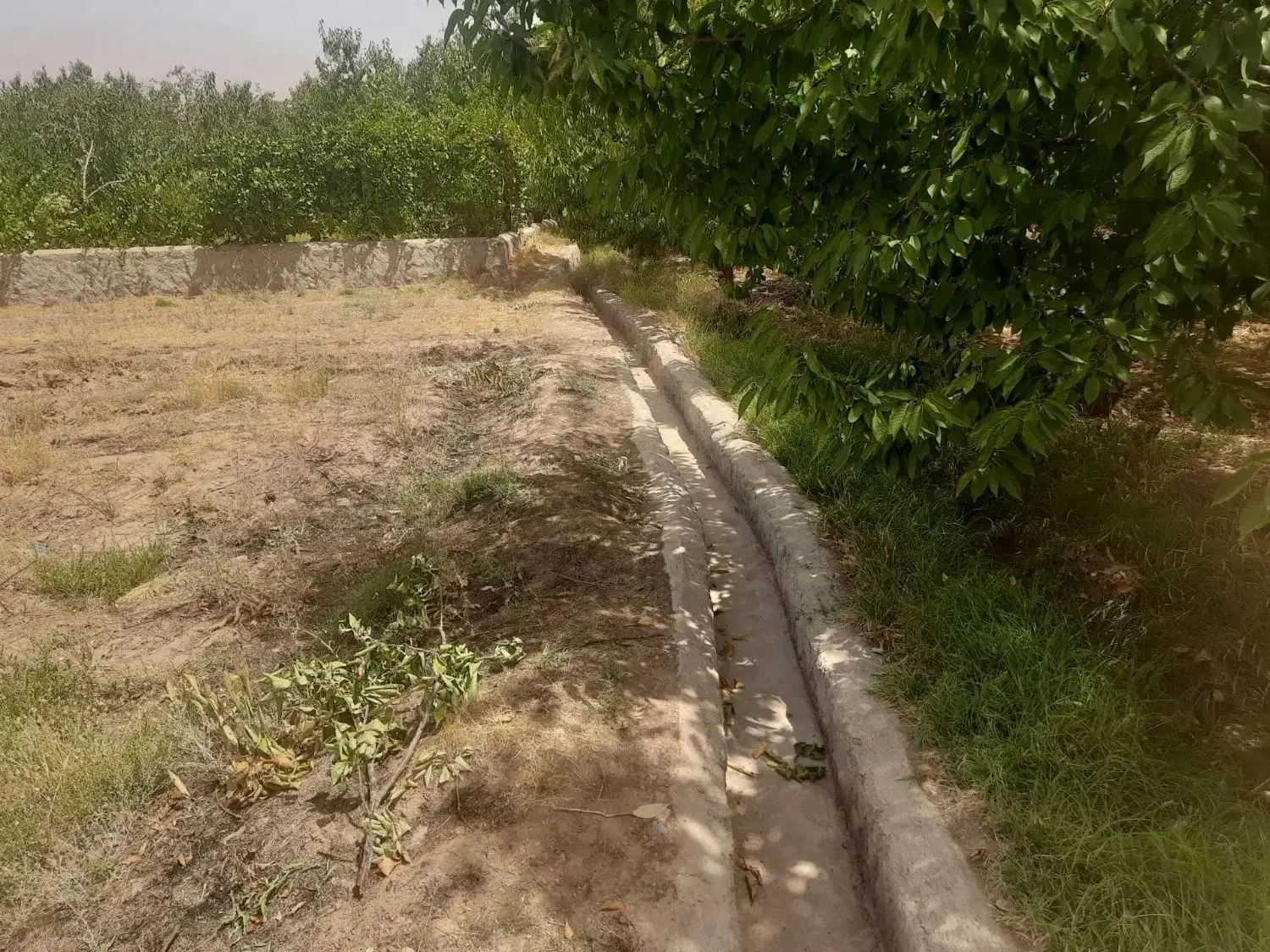 زمین فرصت عالی  مناسب برای باغ وویلا