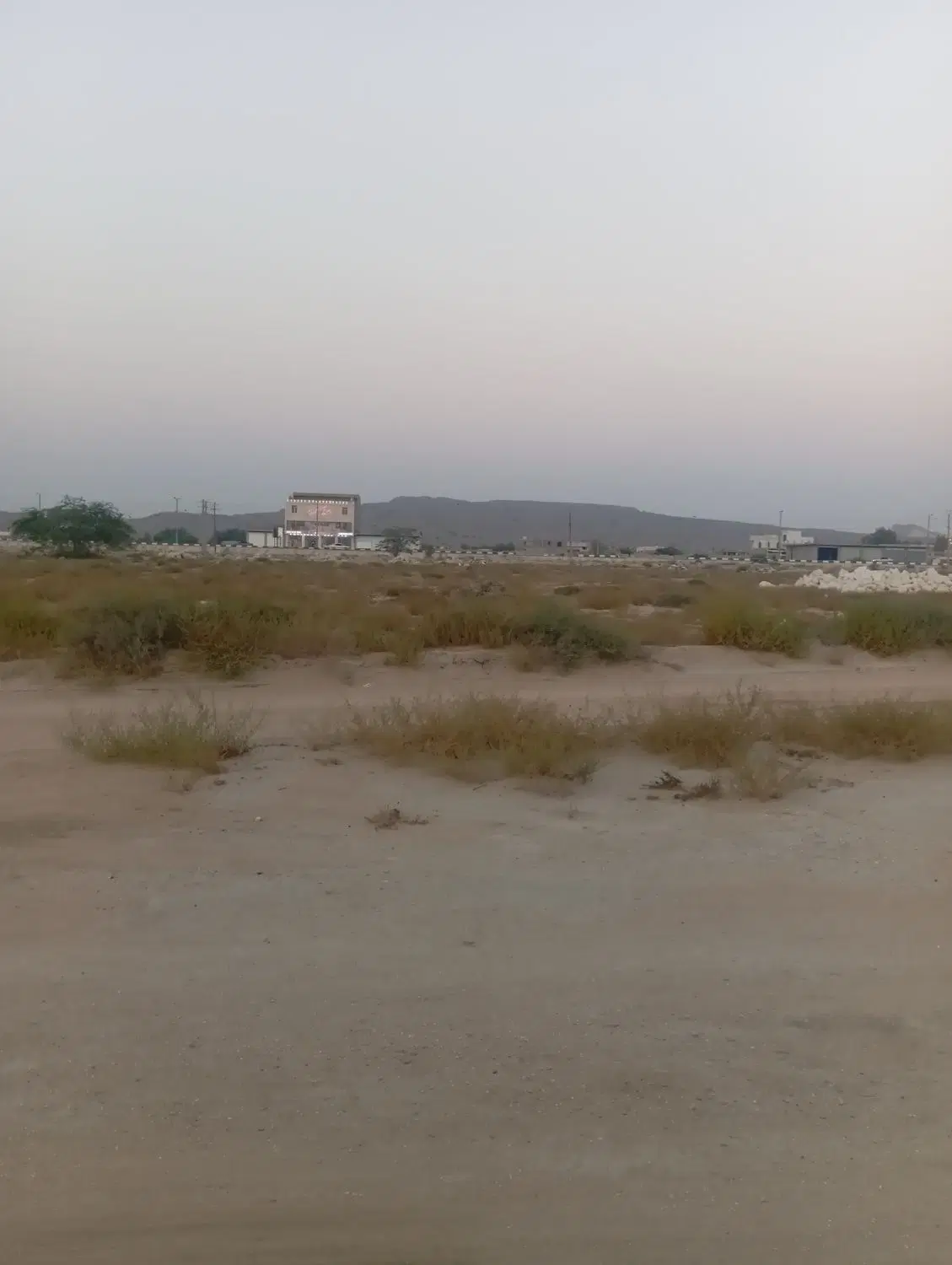 زمین گیاهدان