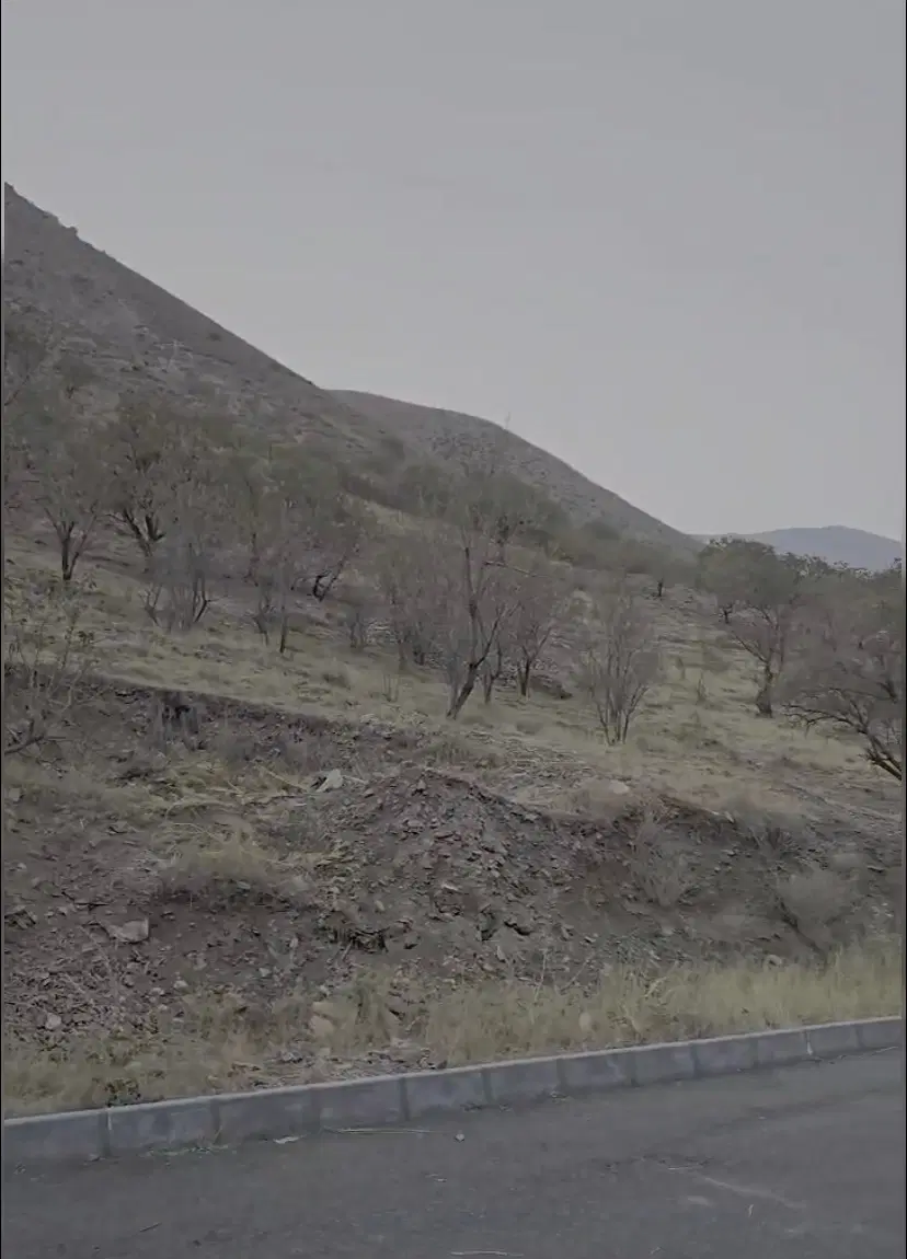 باغ _ زمین لواسان چال ناظران
