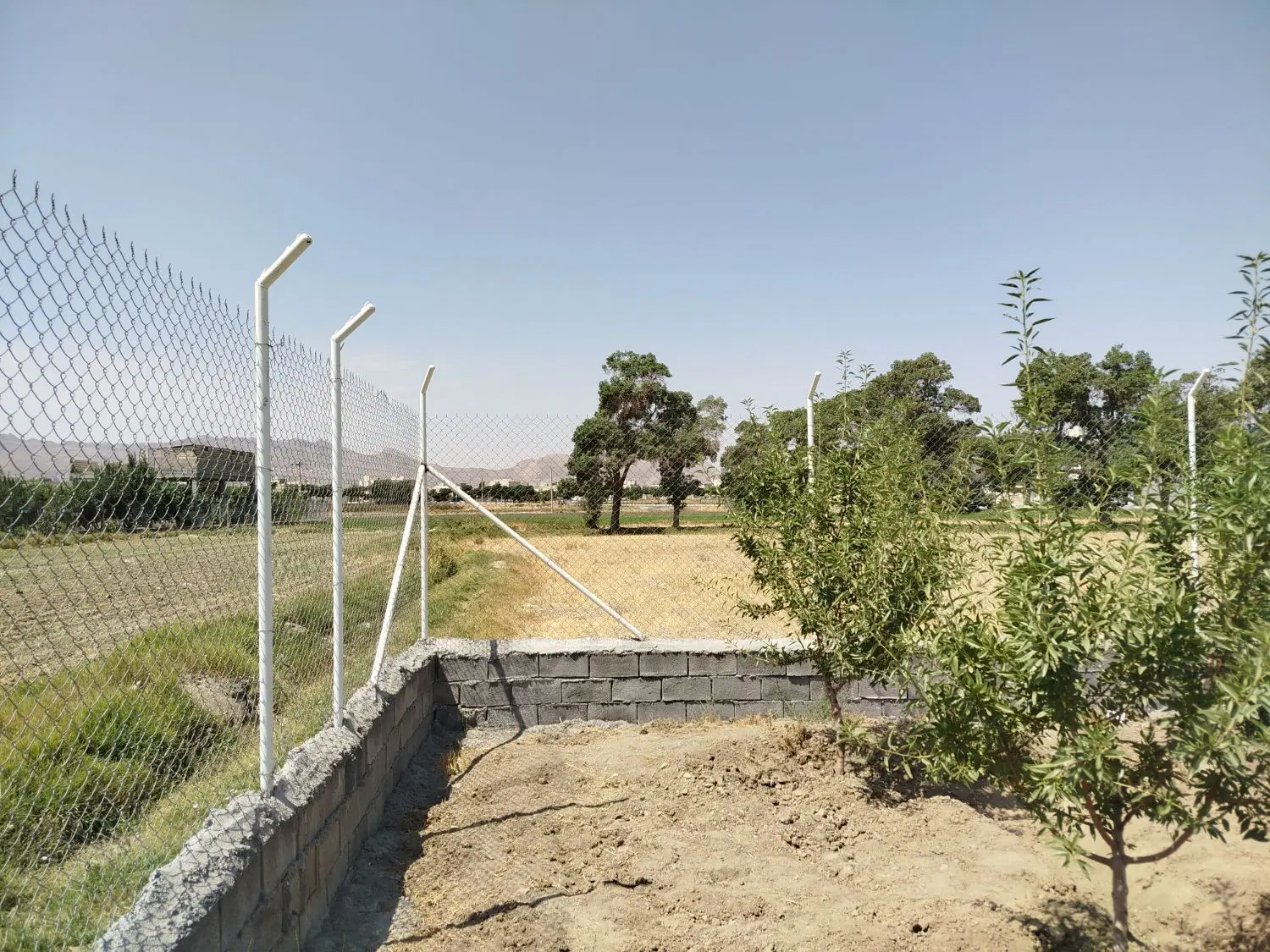 زمین کشاورزی