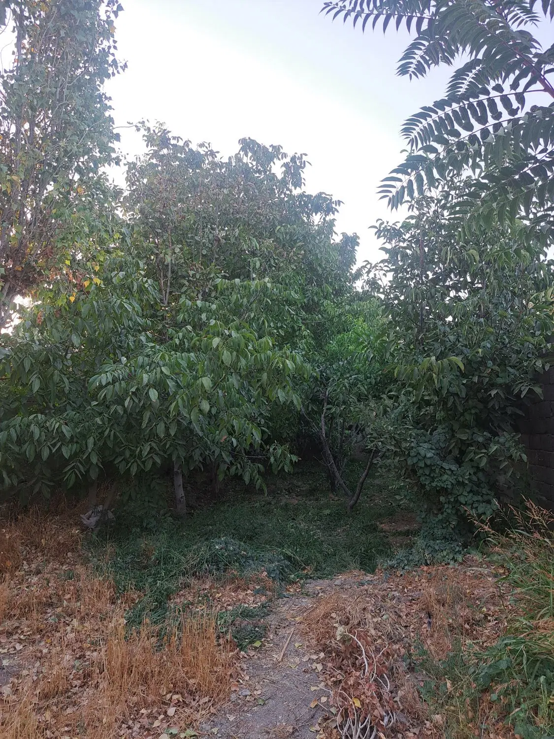 باغچه شهرکی