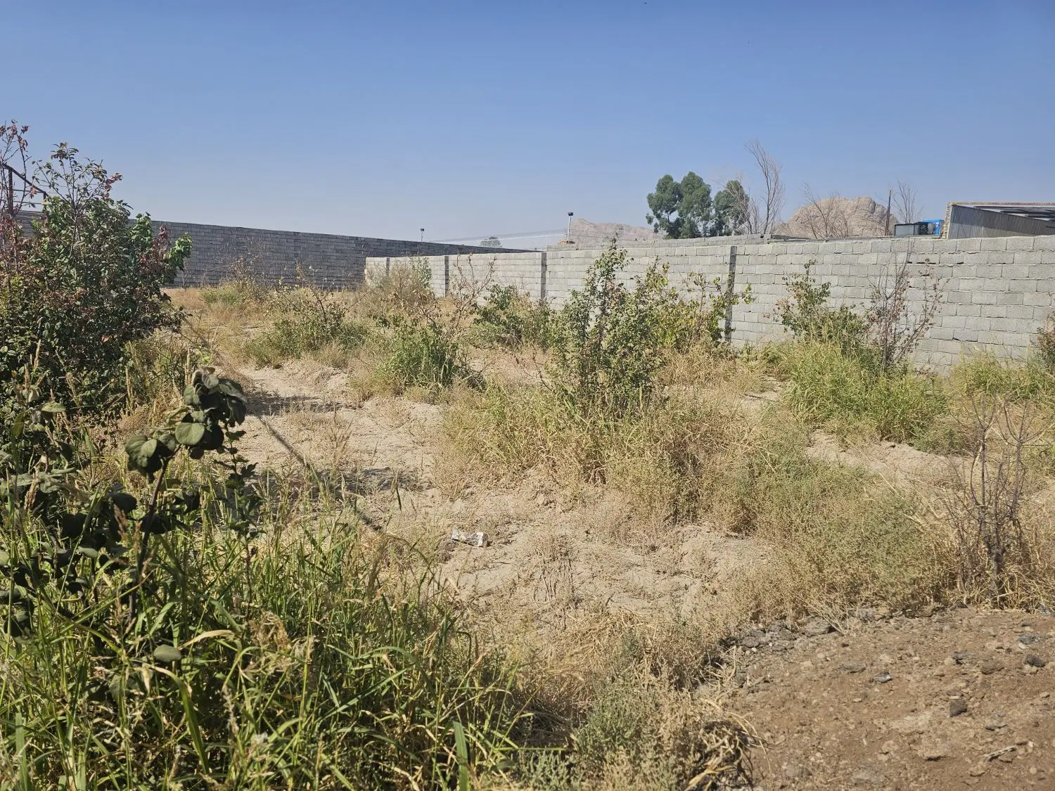 ۴دیواری زردنجان