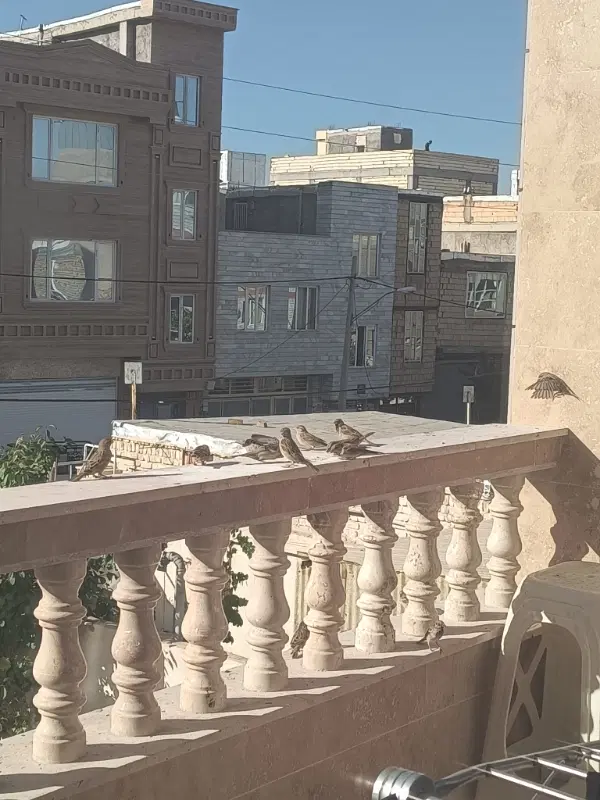واحد شخصی ساز
