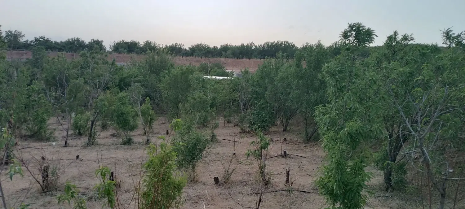 باغ دنج و آرام در شوراب صغیر