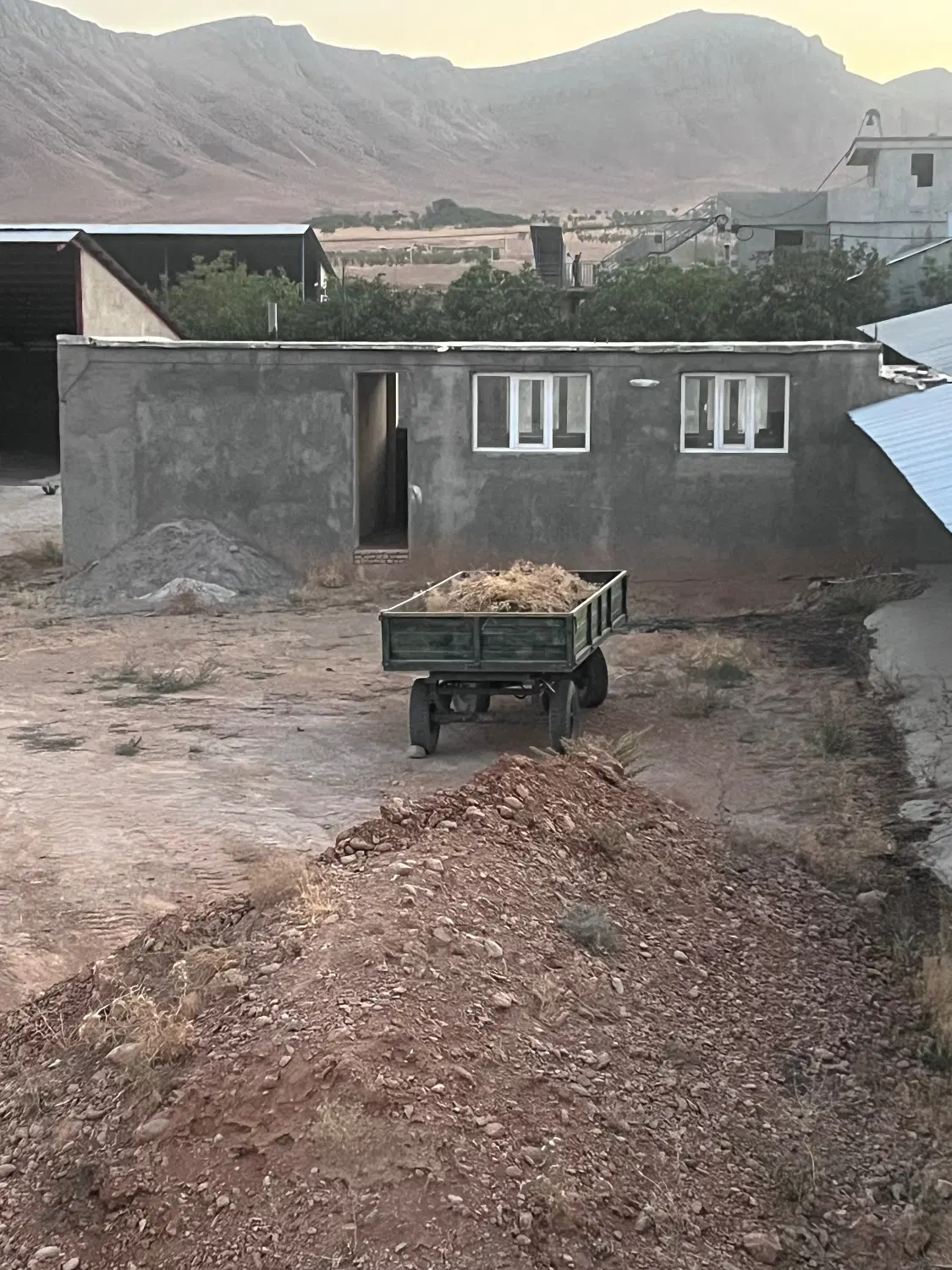 دامداری