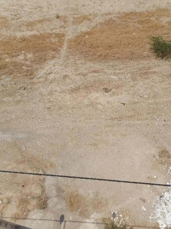 زمین کشاورزی با امتیاز پروانه چاه