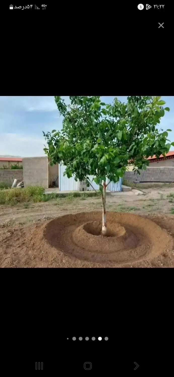 فروش باغ بهشت