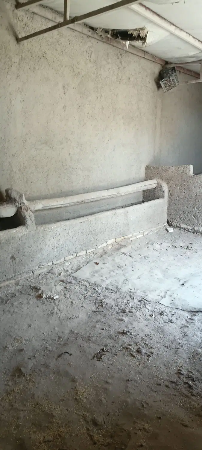 دامداری سی رسی
