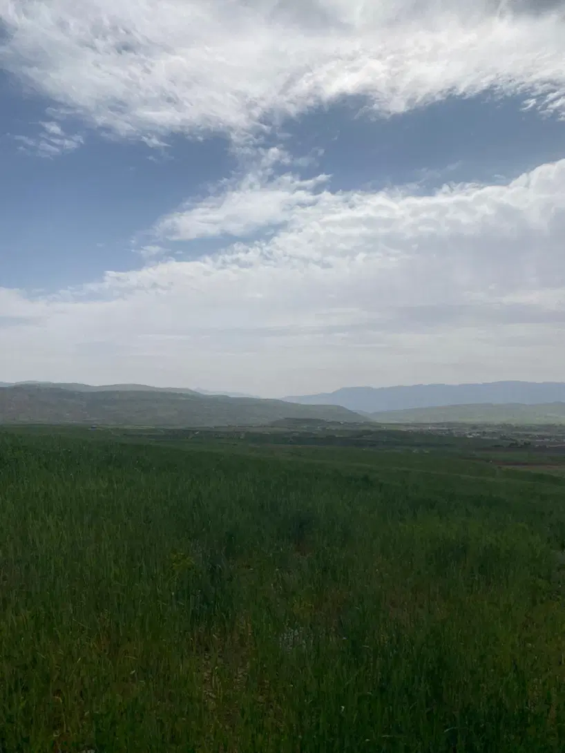 زمین گلاب دره