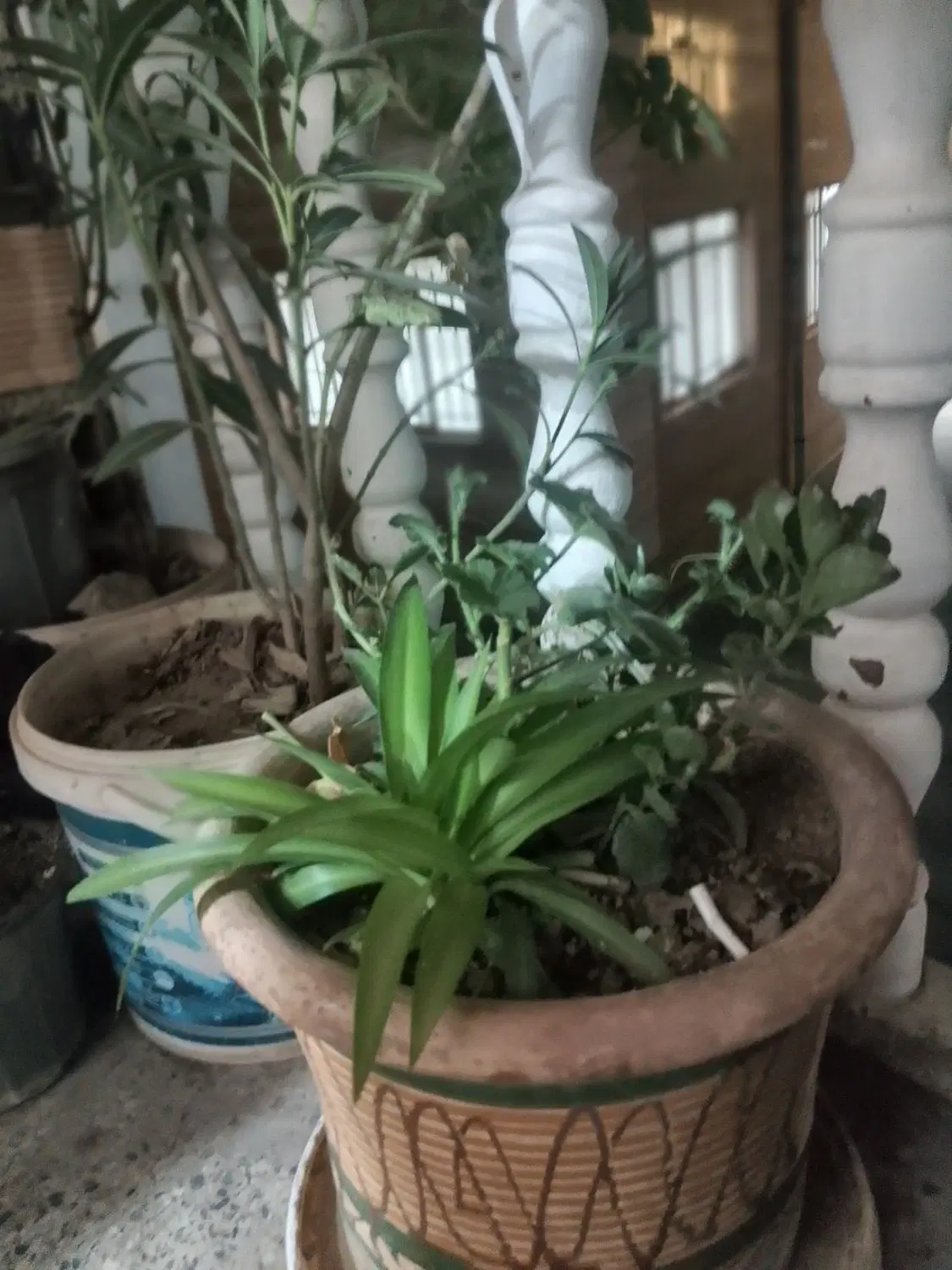 اجاره خانه شهرک زاگرس