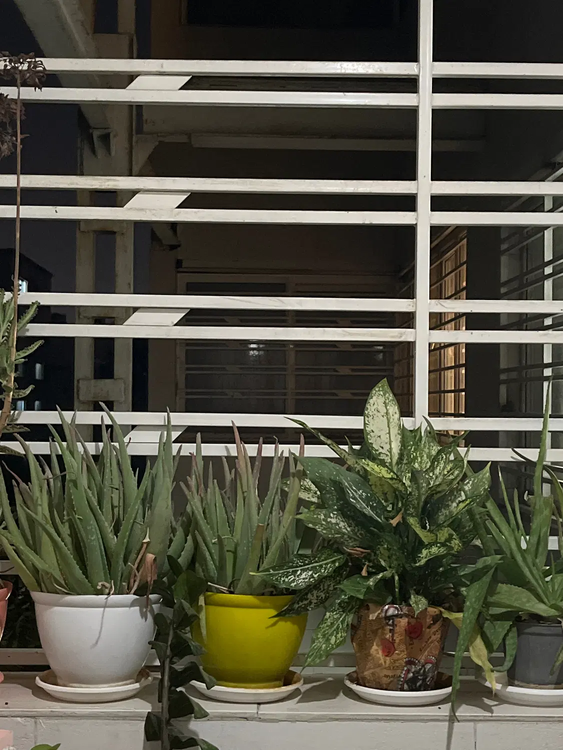 فروش یک واحد آپارتمان
