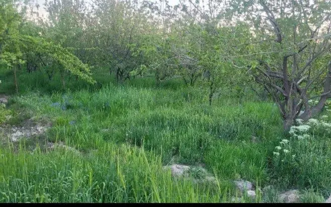 باغ به متراژ ۸۷۰ متر در شهرک خور