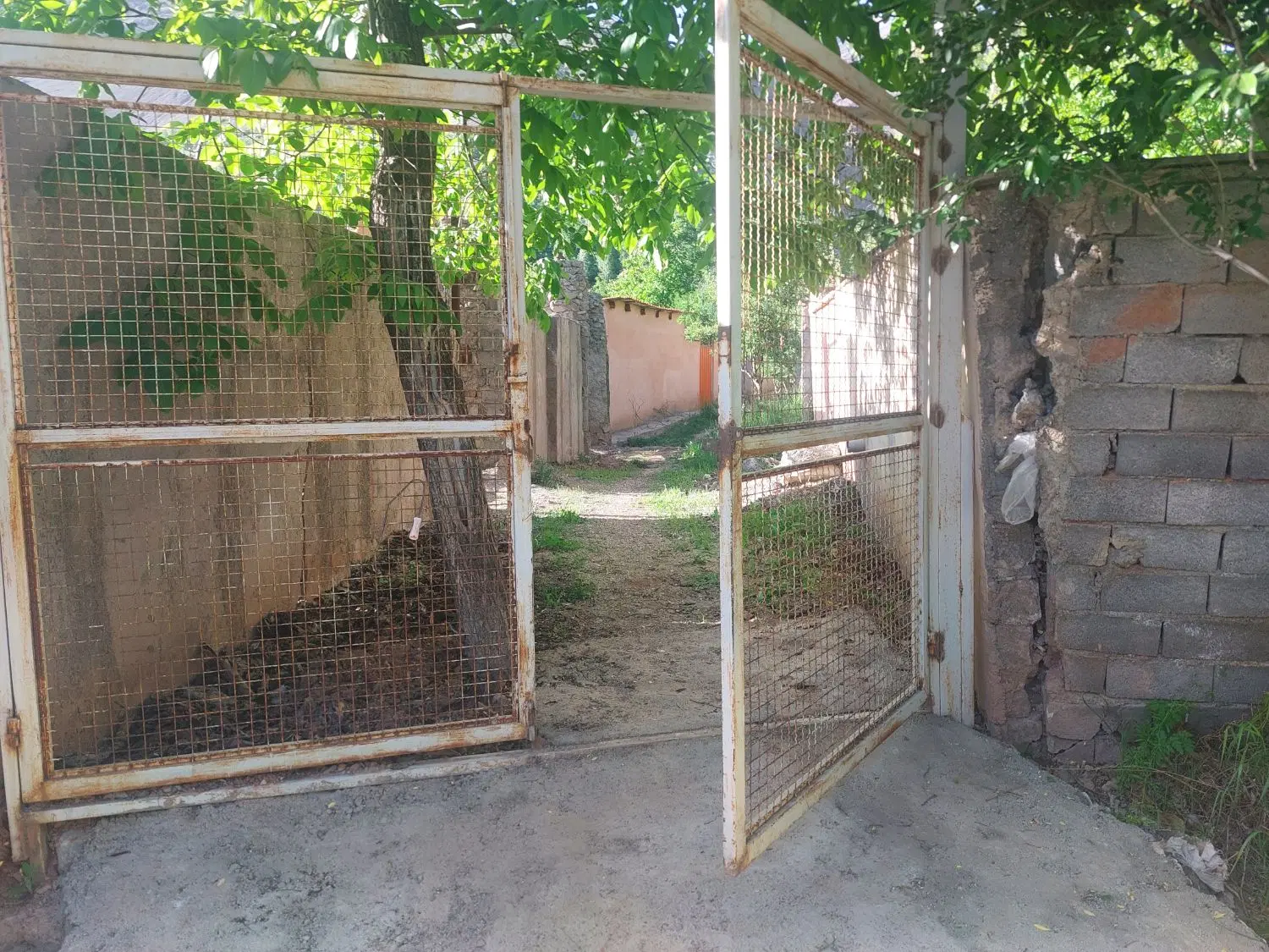 باغ کنار رودخانه در روستای زیبای امامه فشم