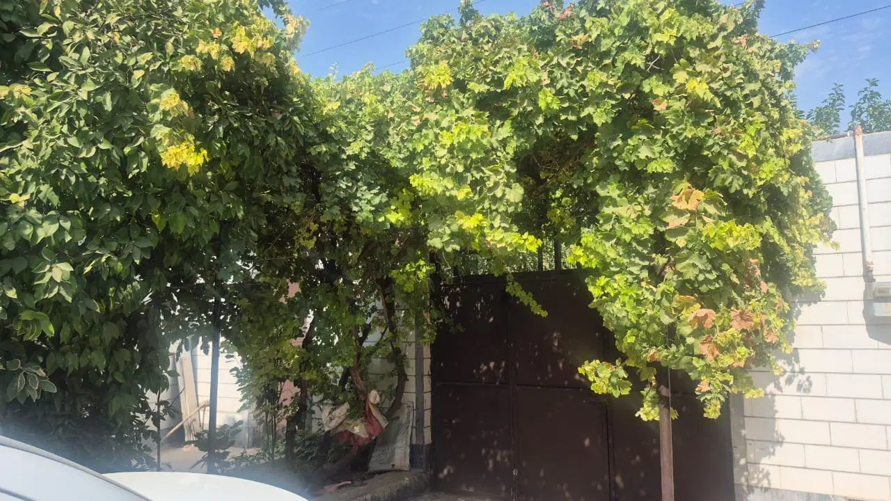 فروش خانه ویلایی ۴۰۰ متری