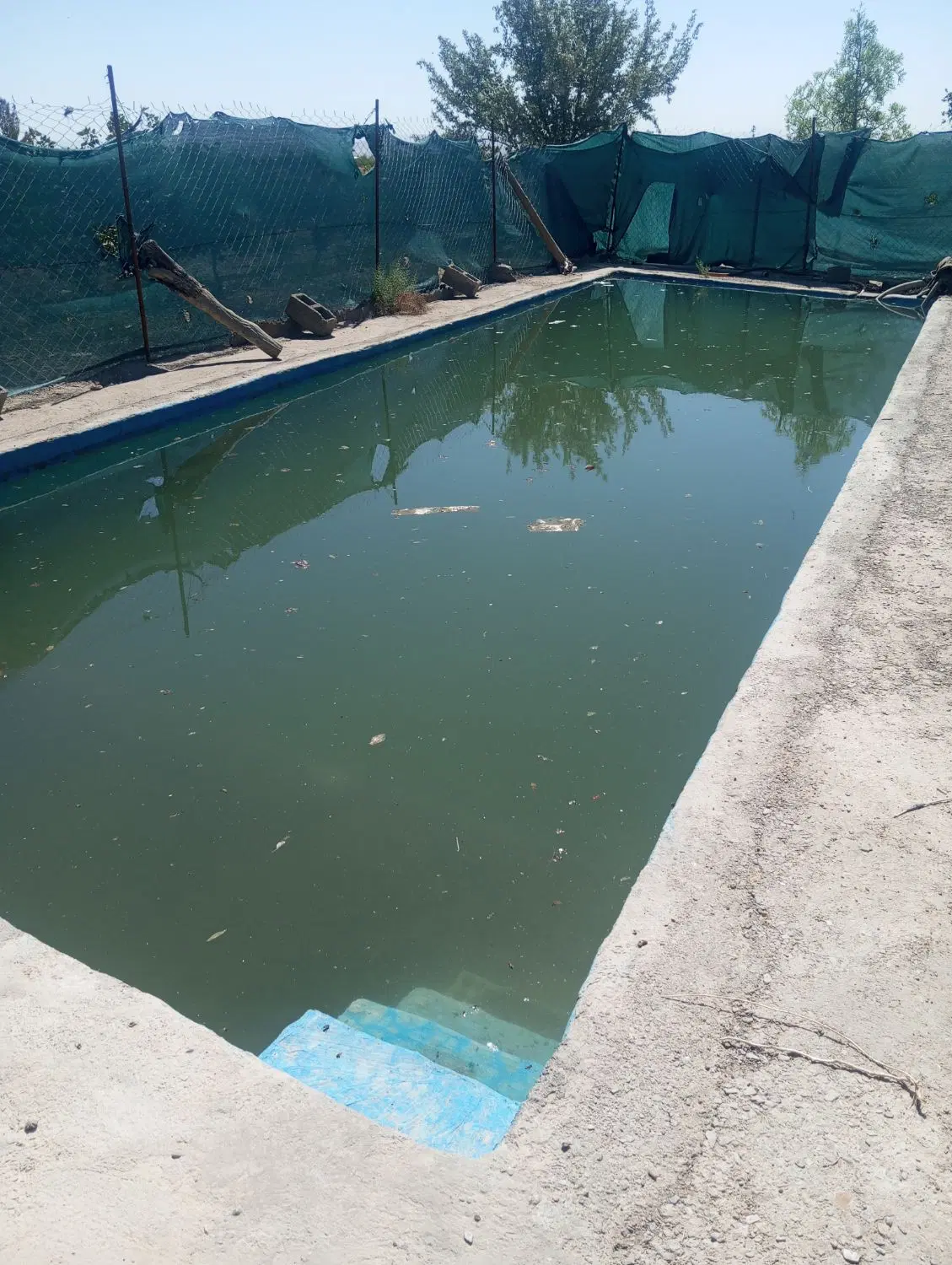 فروش زمین کشاورزی پسته واقع در روستای چلونک