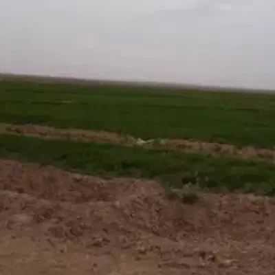 فروش