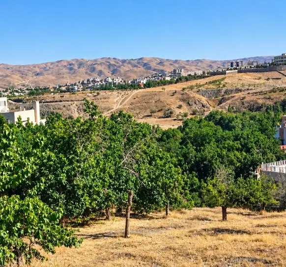 زمین طرقبه پروانه دار