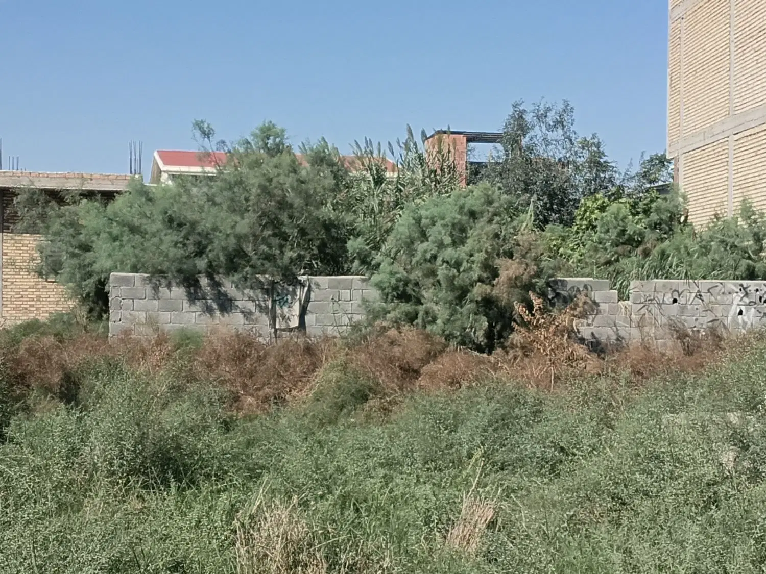 زمین فروشی در قانقرمه