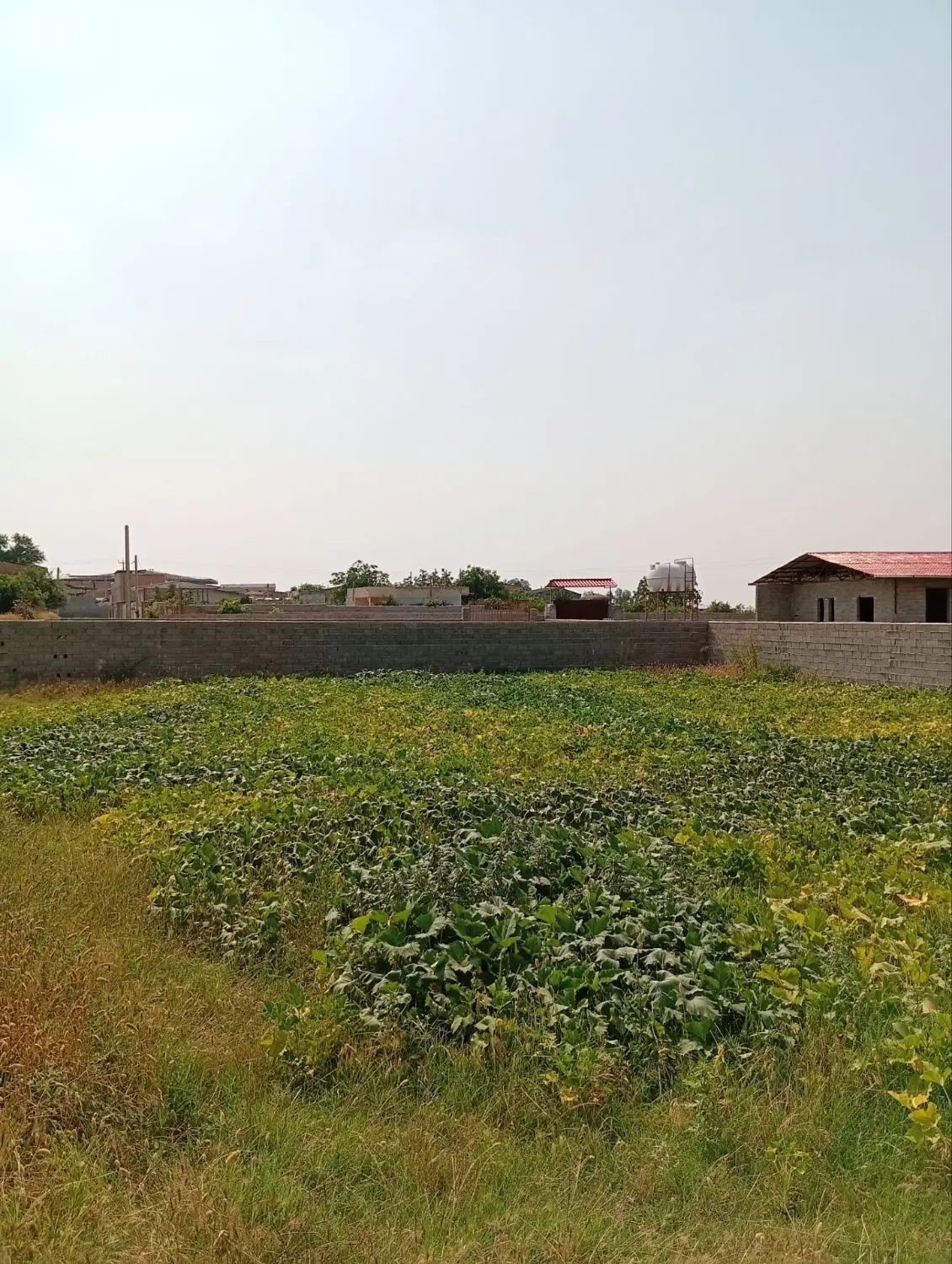 زمین 600داخل بافت روستای اصفحانکلا