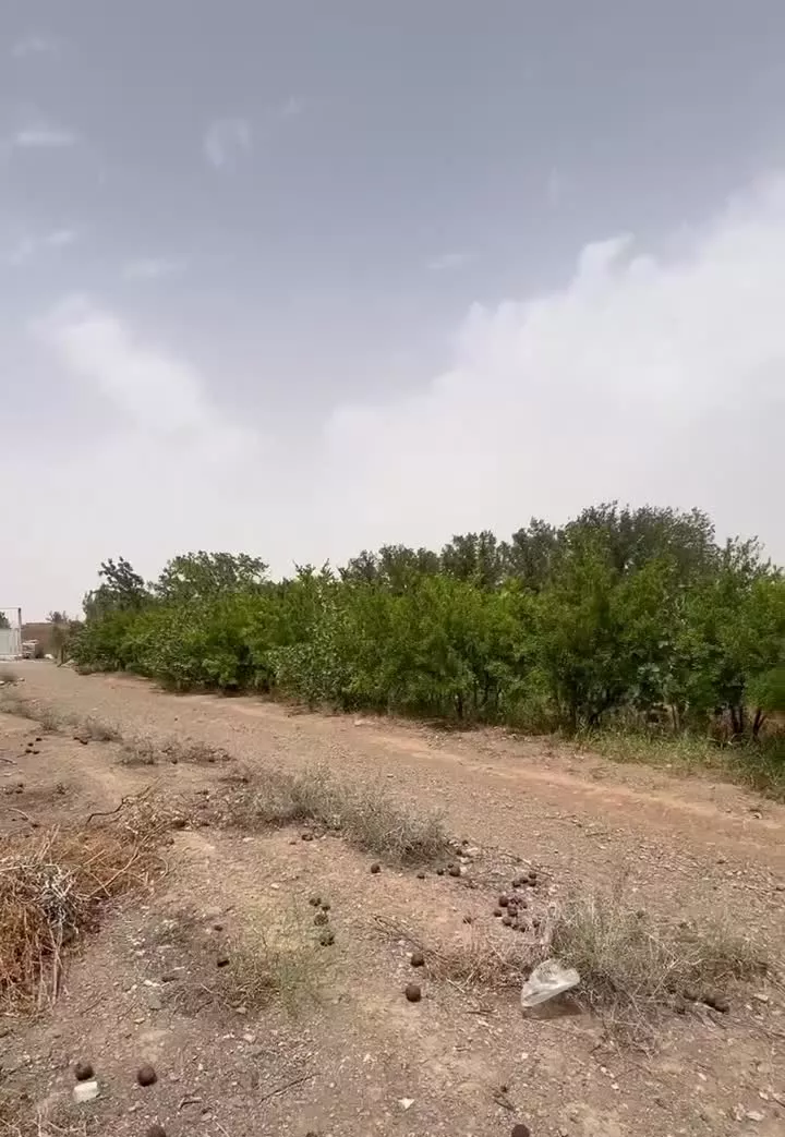 فروش باغ چهاردیواری شده