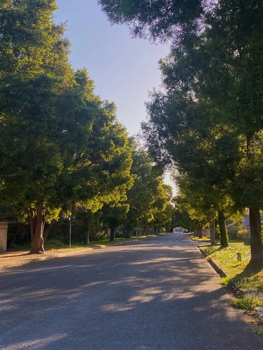 مهستان ۵۰۰ متر ویلایی سعیداباد