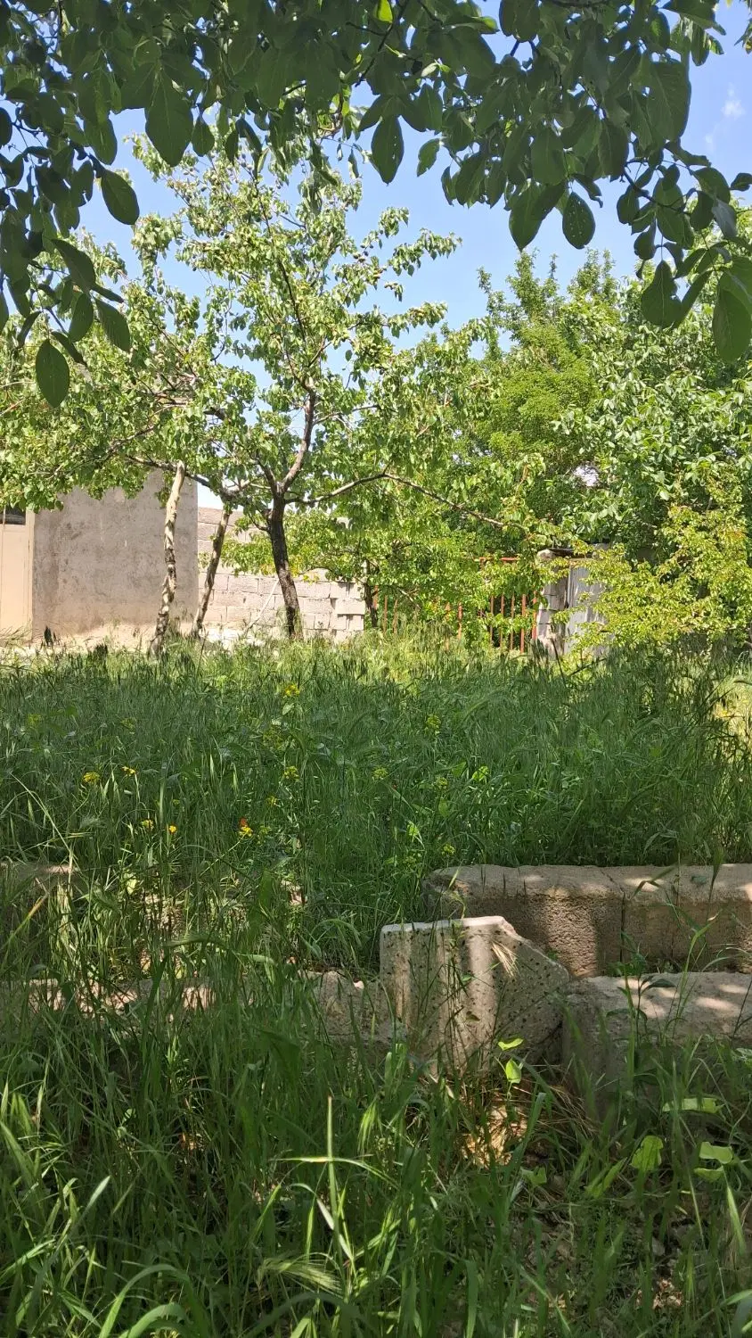 باغ درطبیعت اسکو