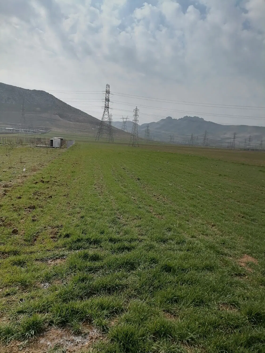 زمین باغی
