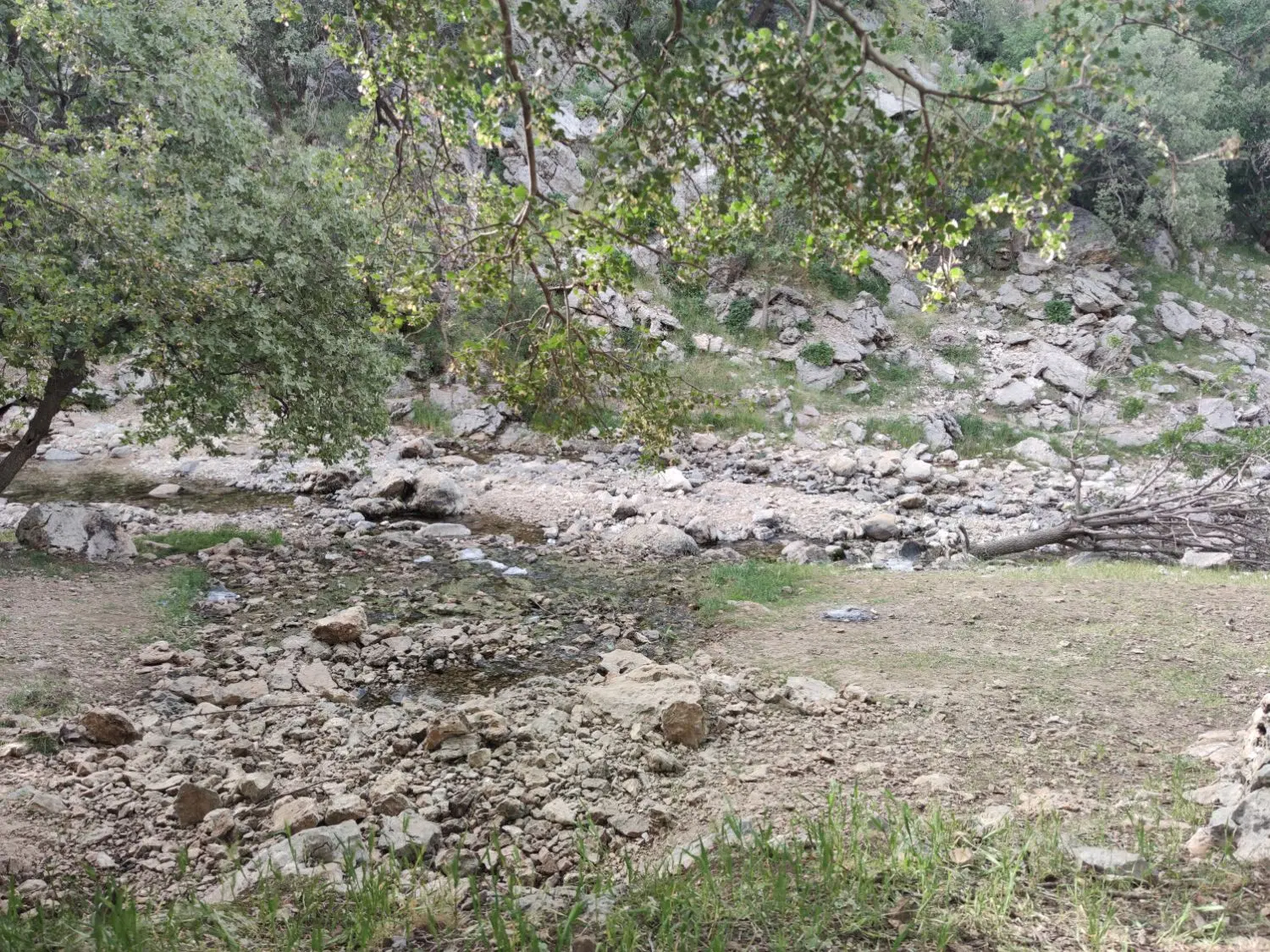 ۲۴۰متر زمین مسکونی، زیر شهرک امام علی