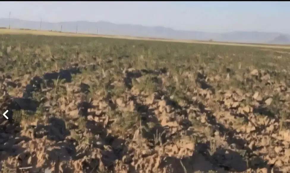 زمین بر اتوبان سقز سنندج