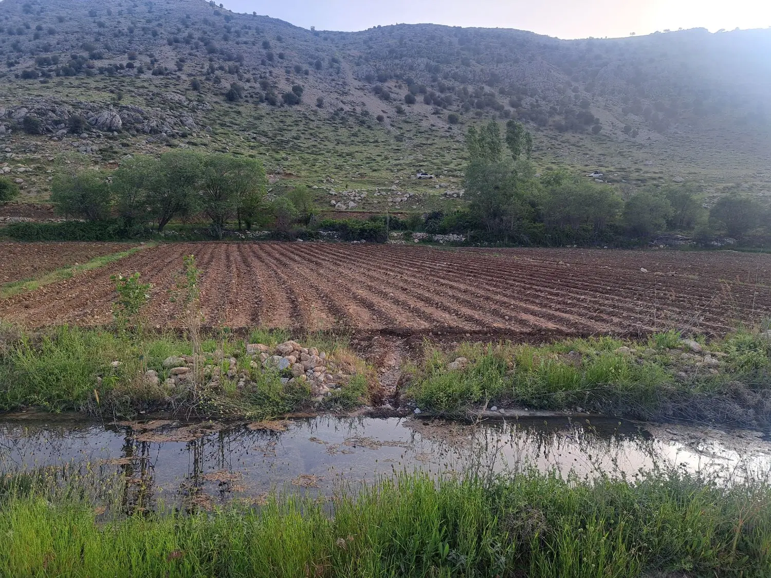 زمین کشاورزی دشتروم ریواسی