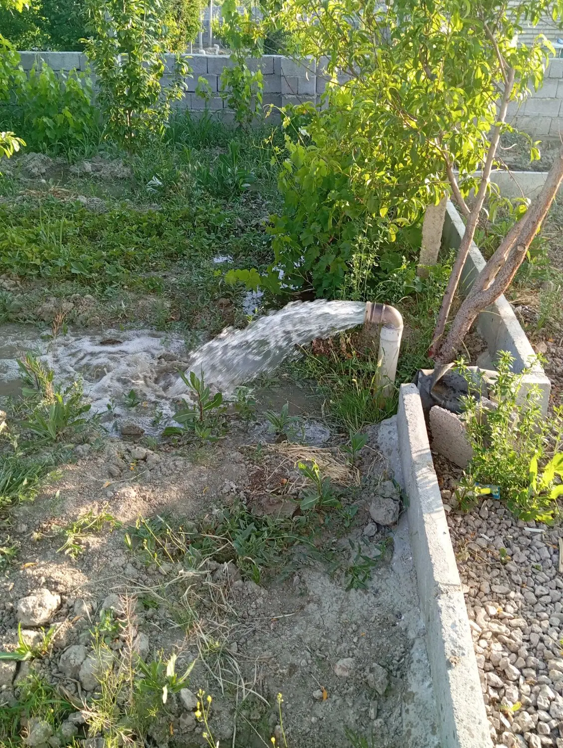 باغچه با برق دار طلاتپه