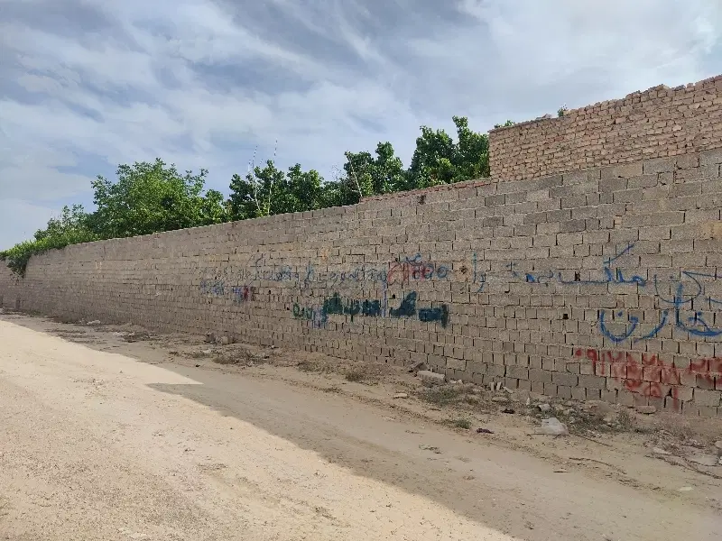 زمین باغی شاهد شهر