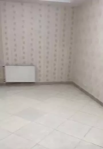 ۱۲۱متر شاخه