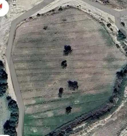اجاره زمین باغ