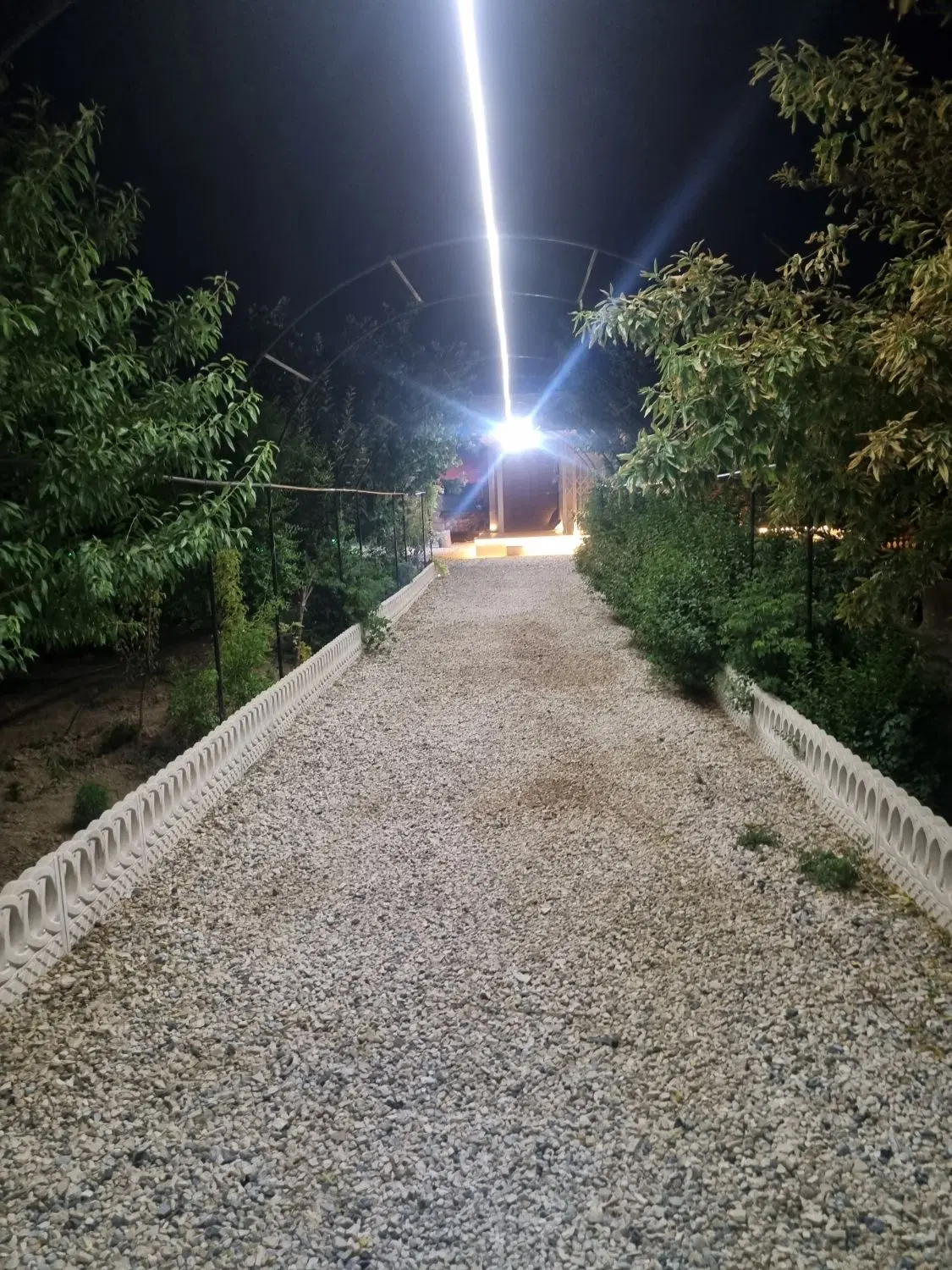باغ
