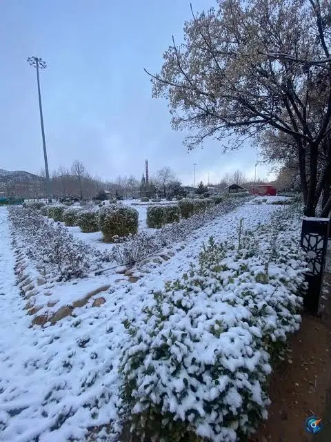 زمین مولانا
