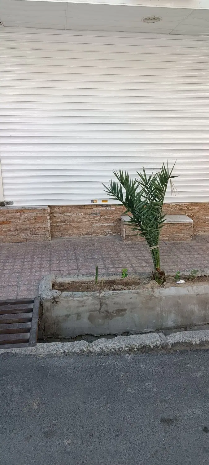 فروش مغازه باغنزده اول اصغرشجاعی