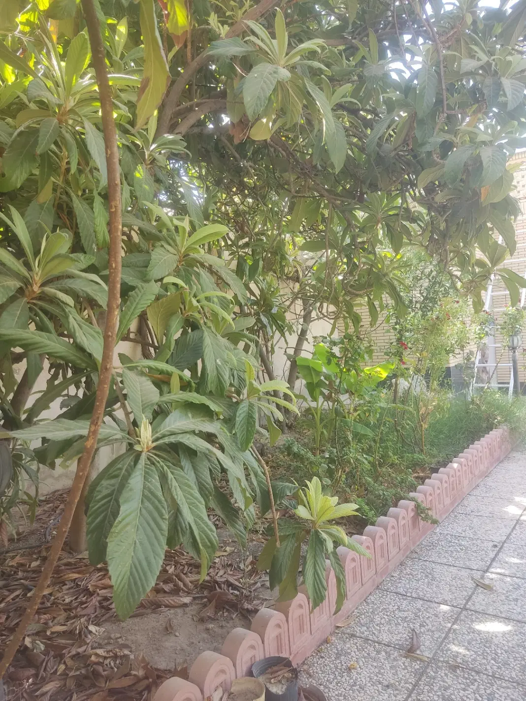 فروش زمین باغ شهری فوری